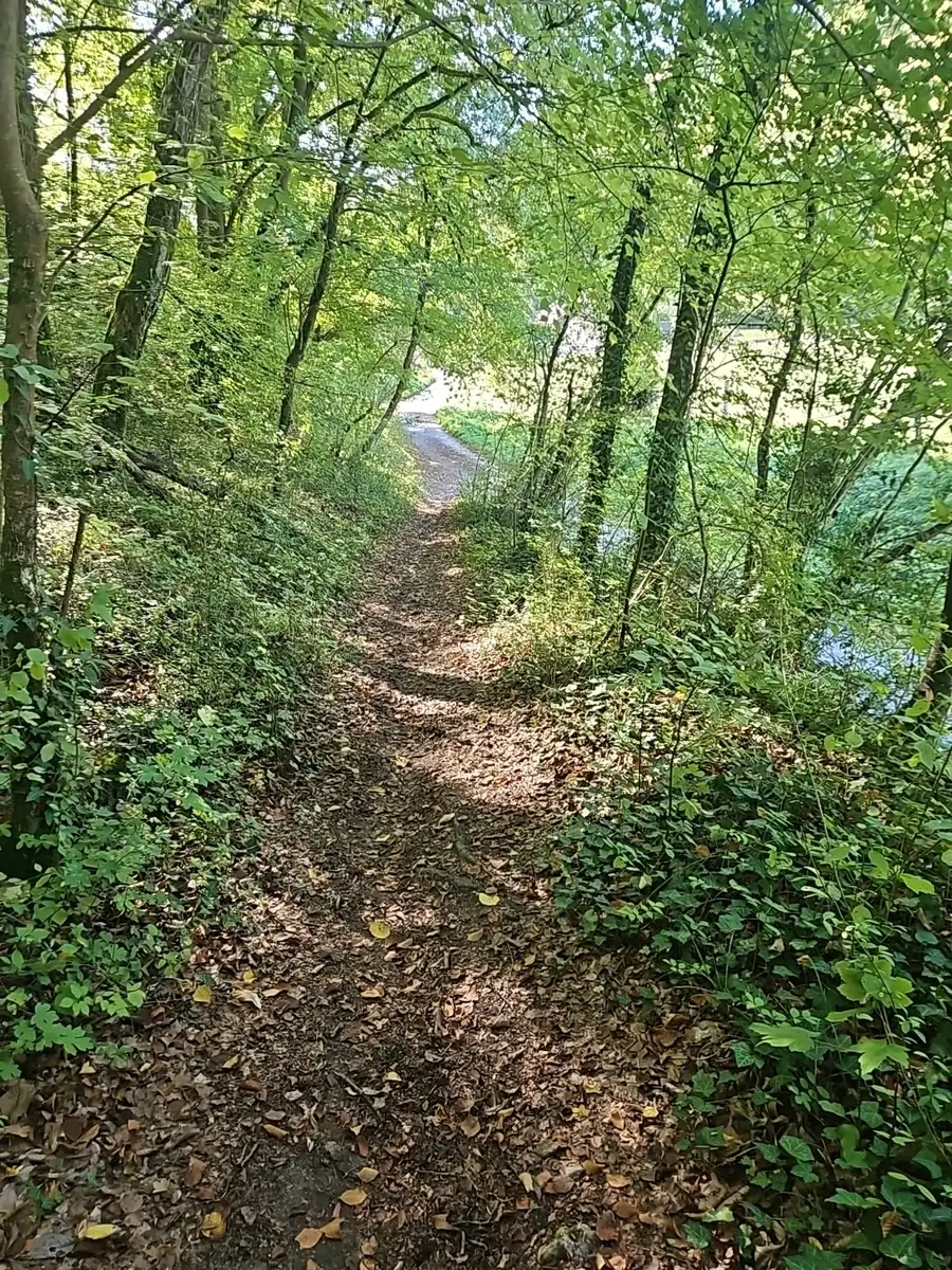 Petit sentier en sous-bois sur la fin des coteaux des Andelys